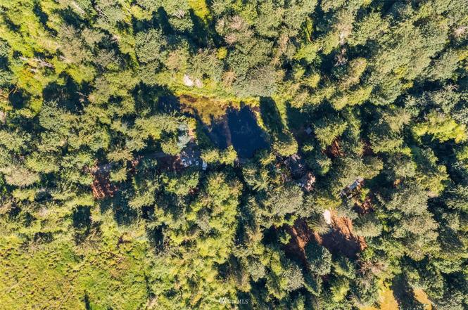 Overhead drone view of the casita property nestled in old-growth forest